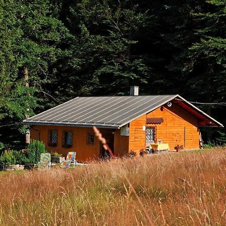 Haus An Der Bergwiese Waldkirchen Eksteriør billede